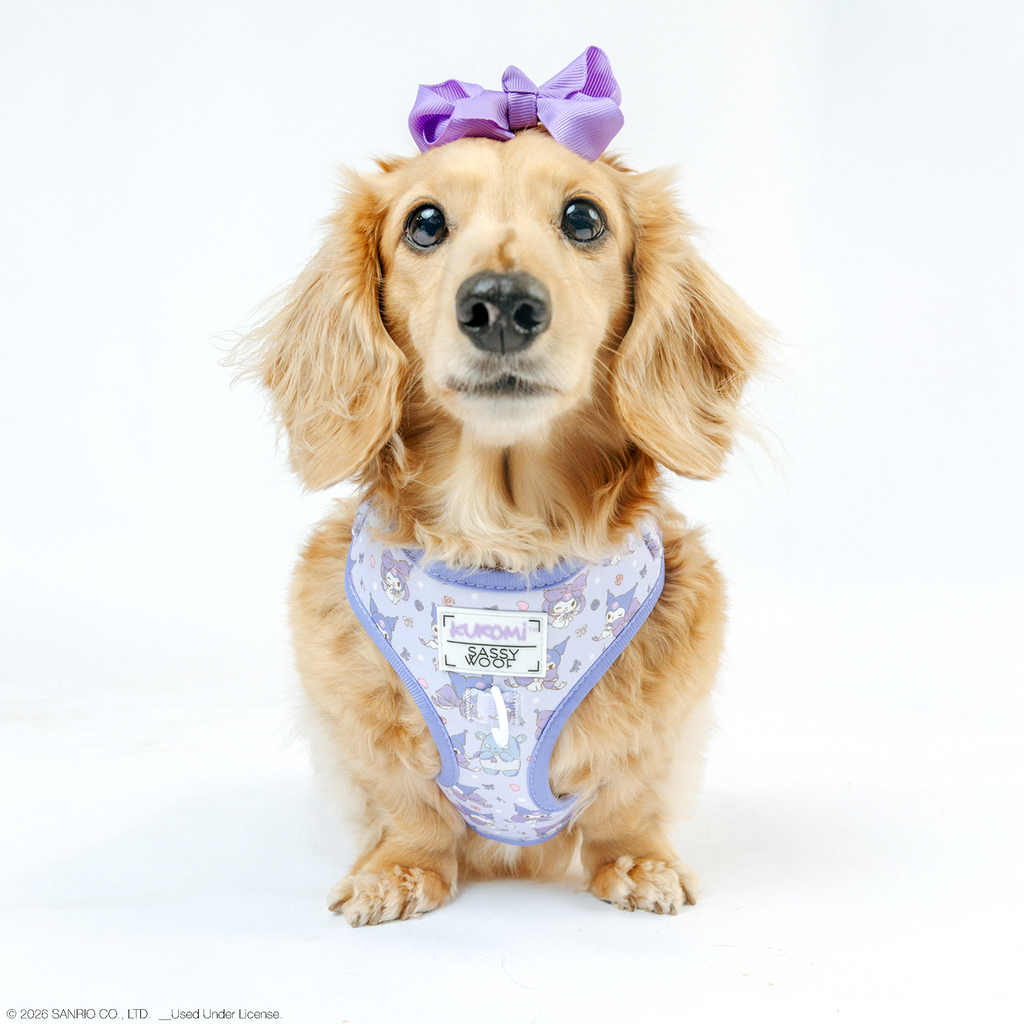 Dog Adjustable Harness - Kuromi™