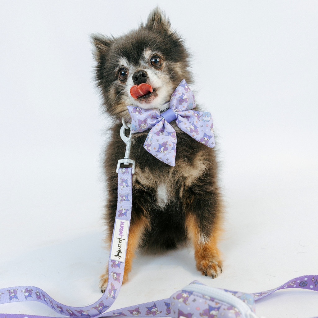 Dog Collar - Kuromi™