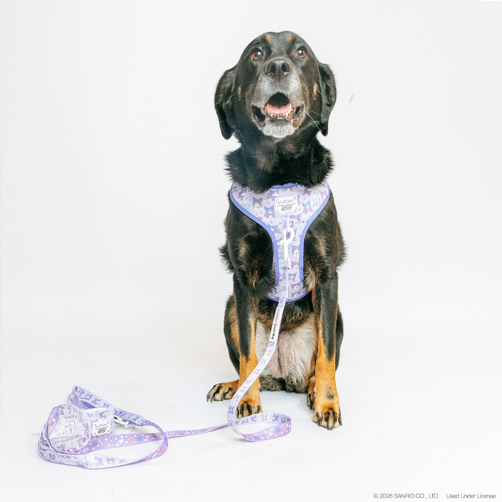 Dog Adjustable Harness - Kuromi™