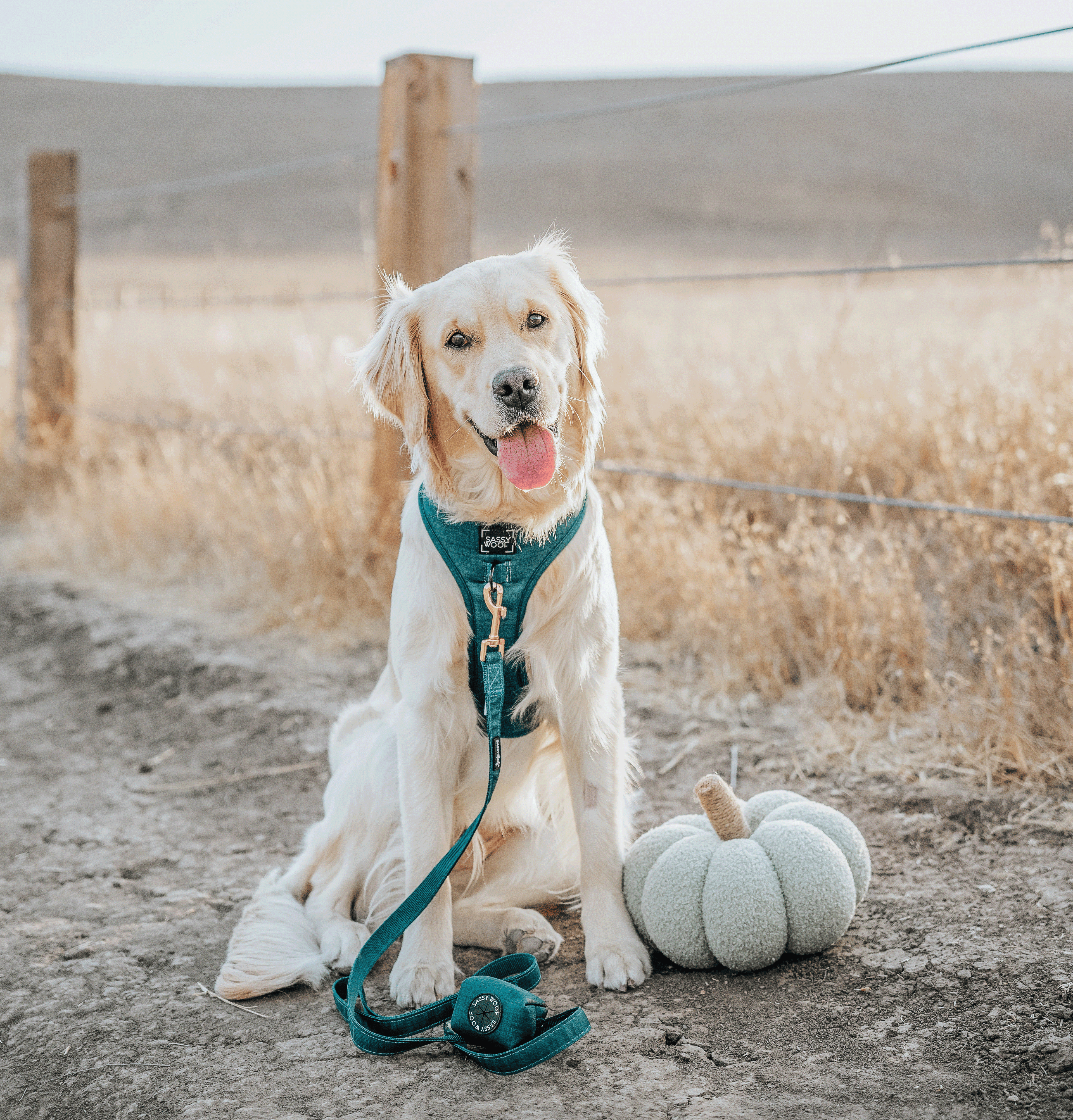 Dog Adjustable Harness - Forest