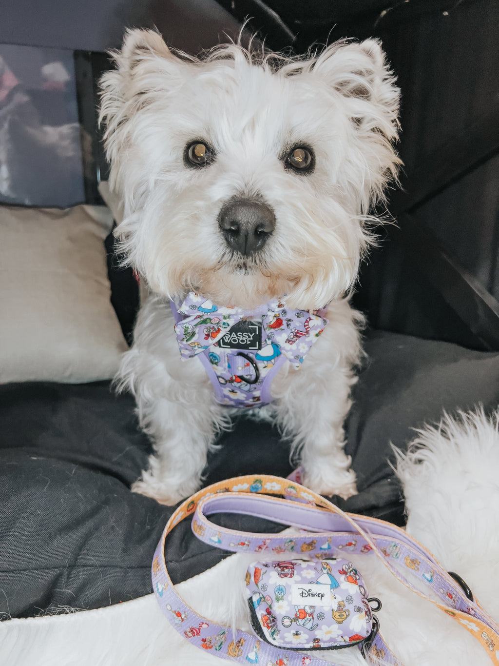 Dog Leash - Alice in Wonderland (Purple)