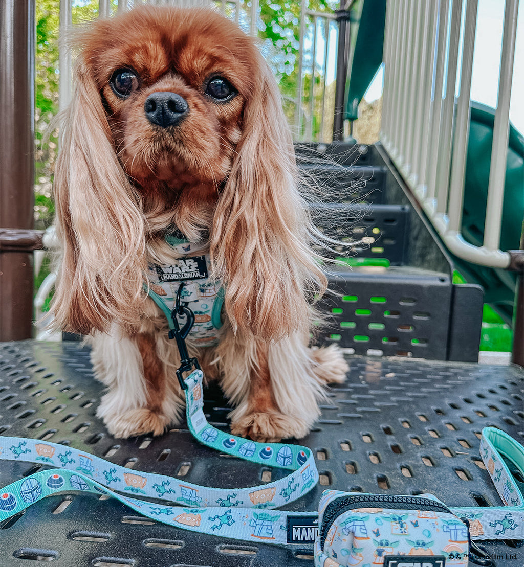 Dog Adjustable Harness - STAR WARS™ The Child™