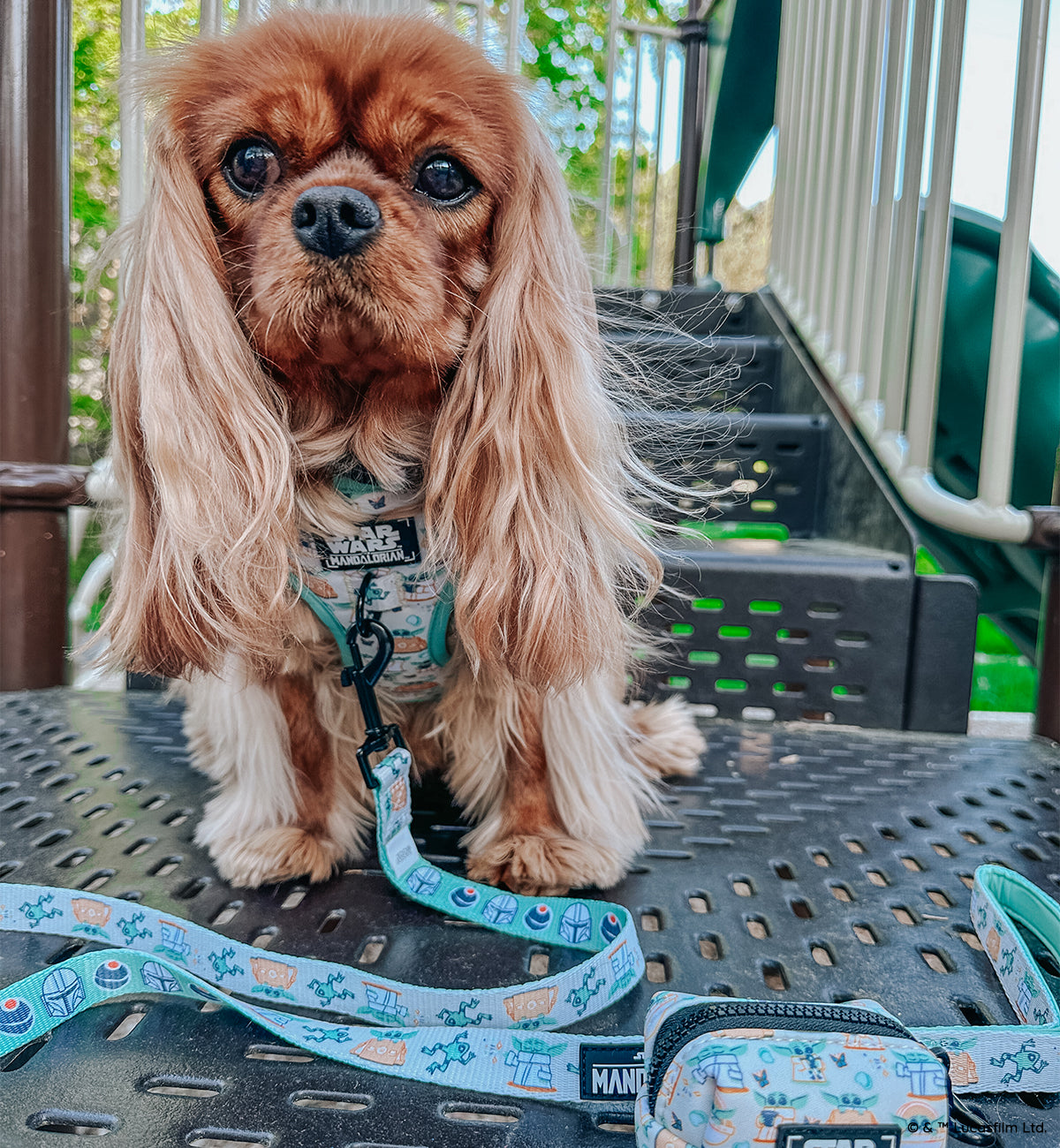 Dog Adjustable Harness - STAR WARS™ The Child™