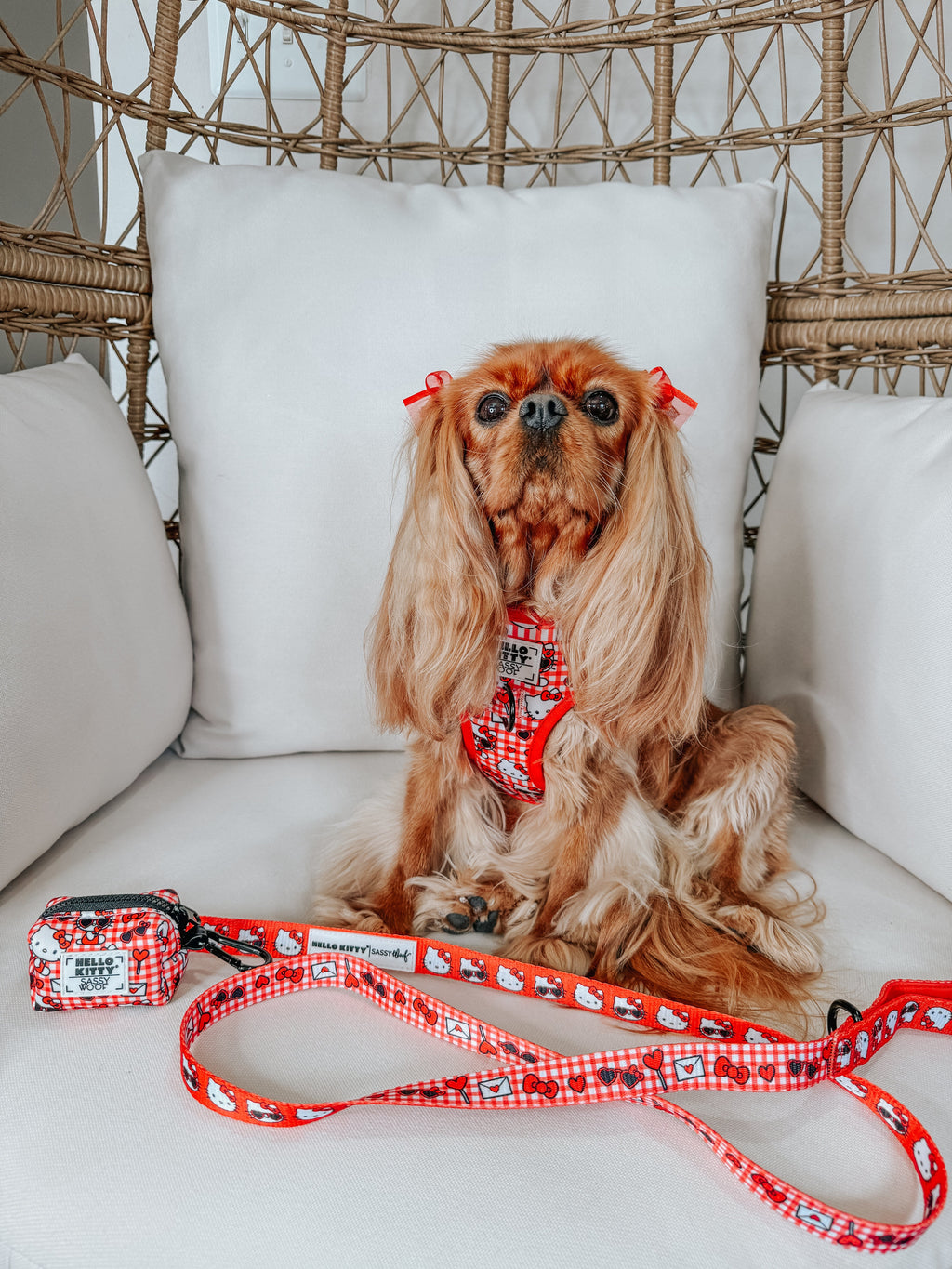 Dog Adjustable Harness - Hello Kitty® Red Classic