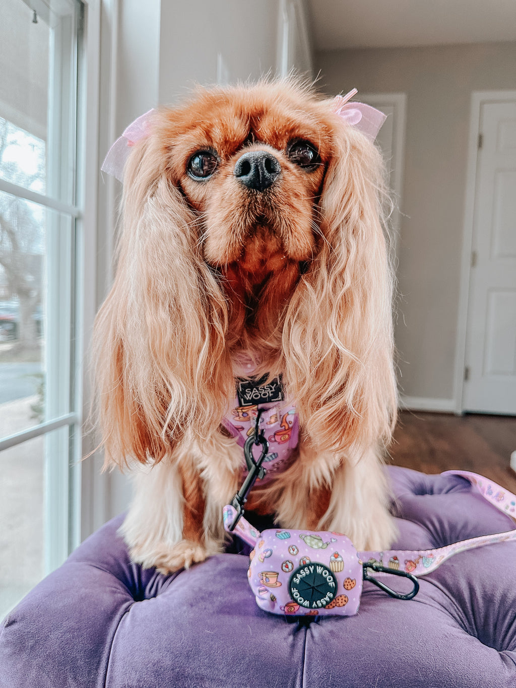 Dog Adjustable Harness - Tea Pawty