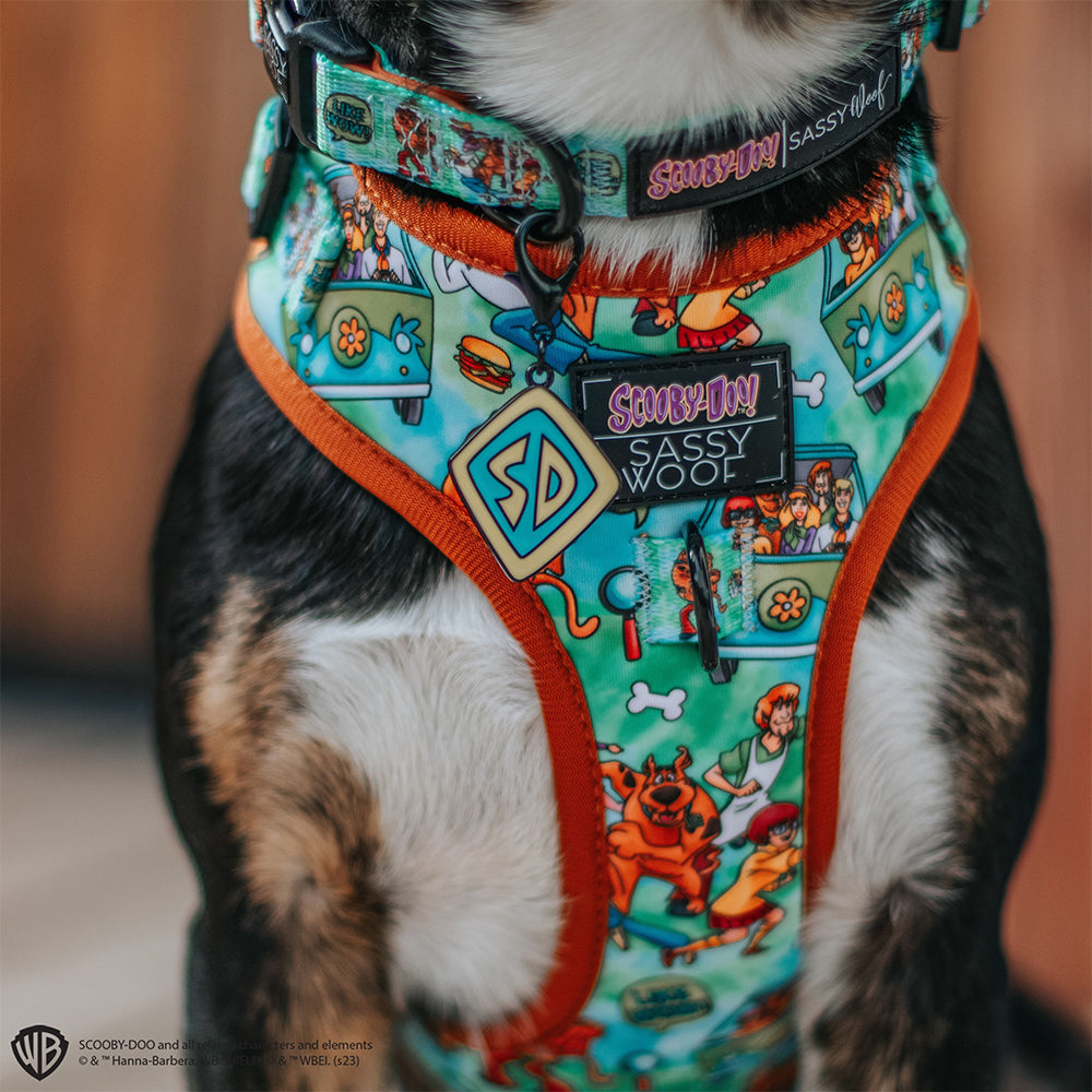 Collar Tag - Scooby-Doo™