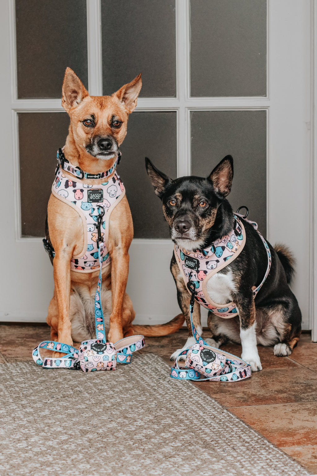 Dog Collar - Mixed With Love