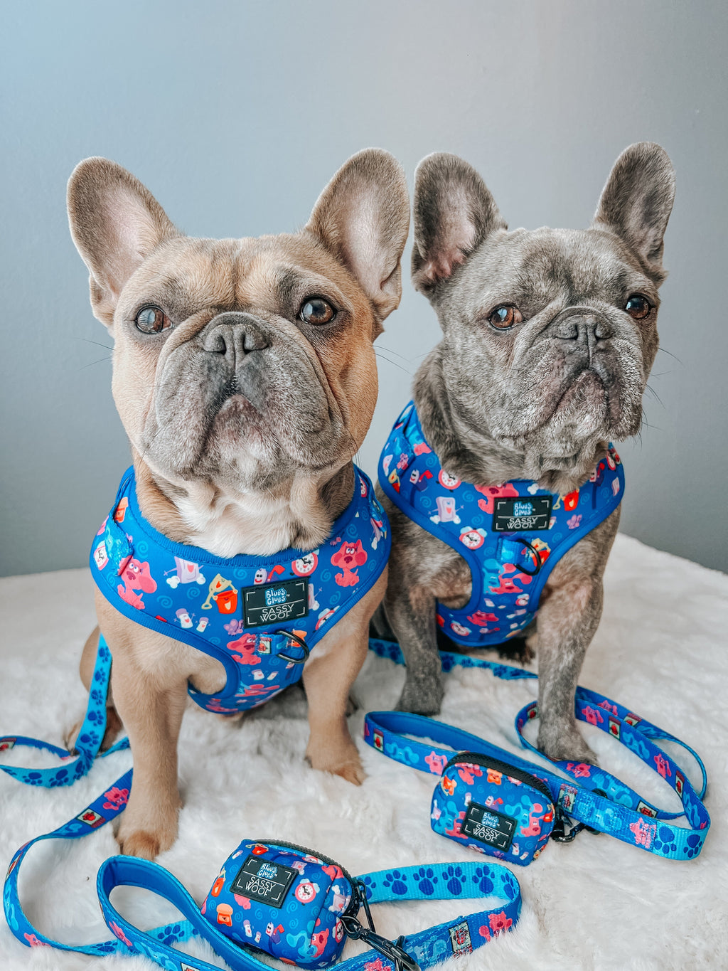 Dog Adjustable Harness - Blue's Clues™