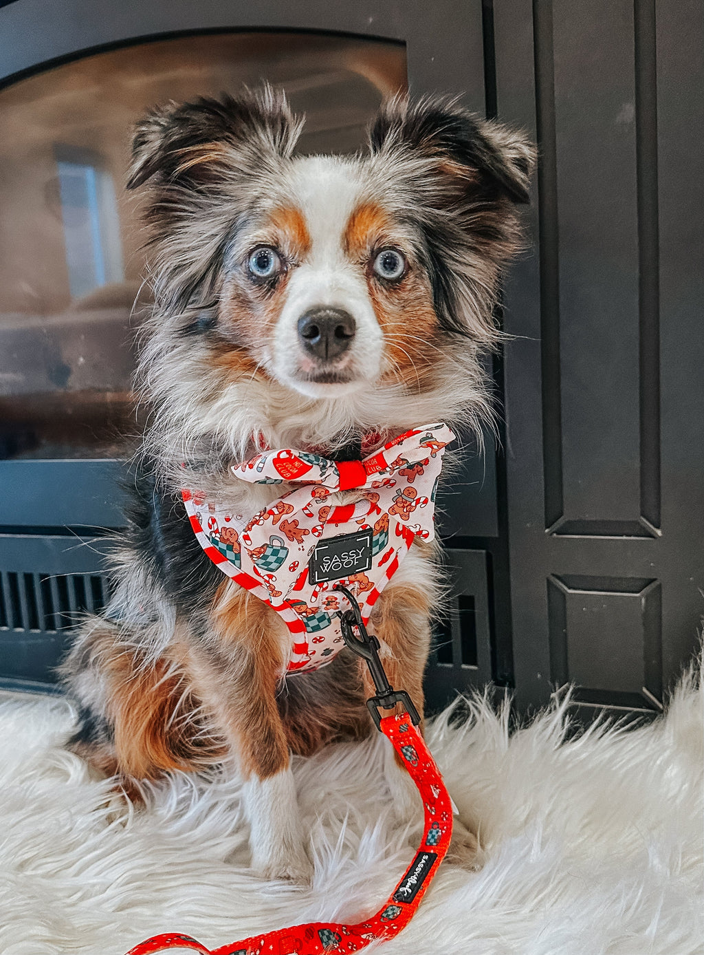Dog Adjustable Harness - Hot Cocoa Club