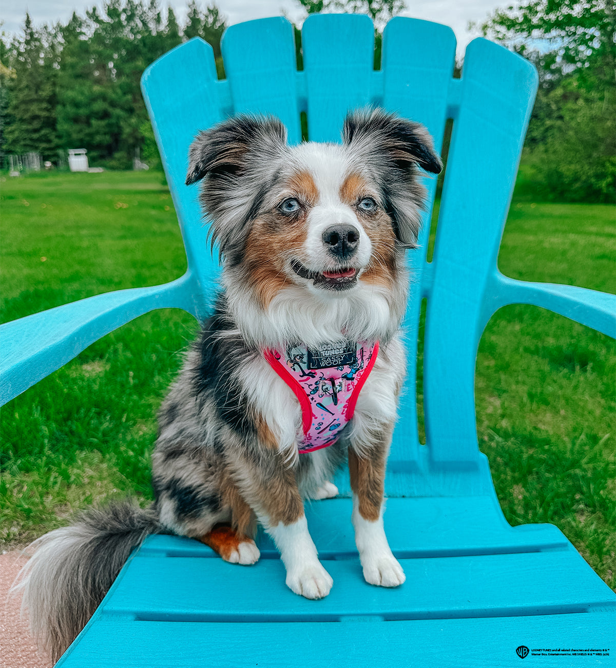 Dog Adjustable Harness - Looney Tunes™ Pink