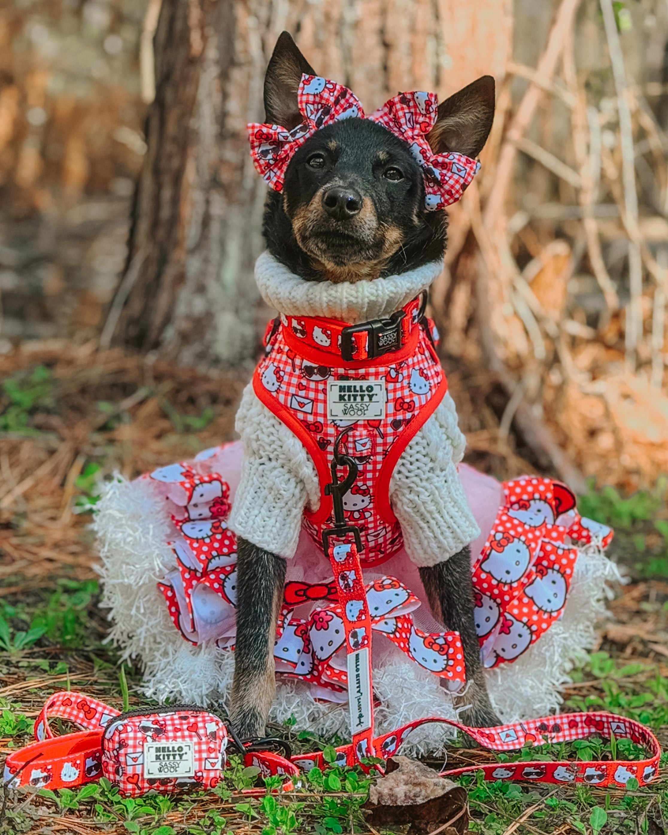 Dog Adjustable Harness - Hello Kitty® Red Classic