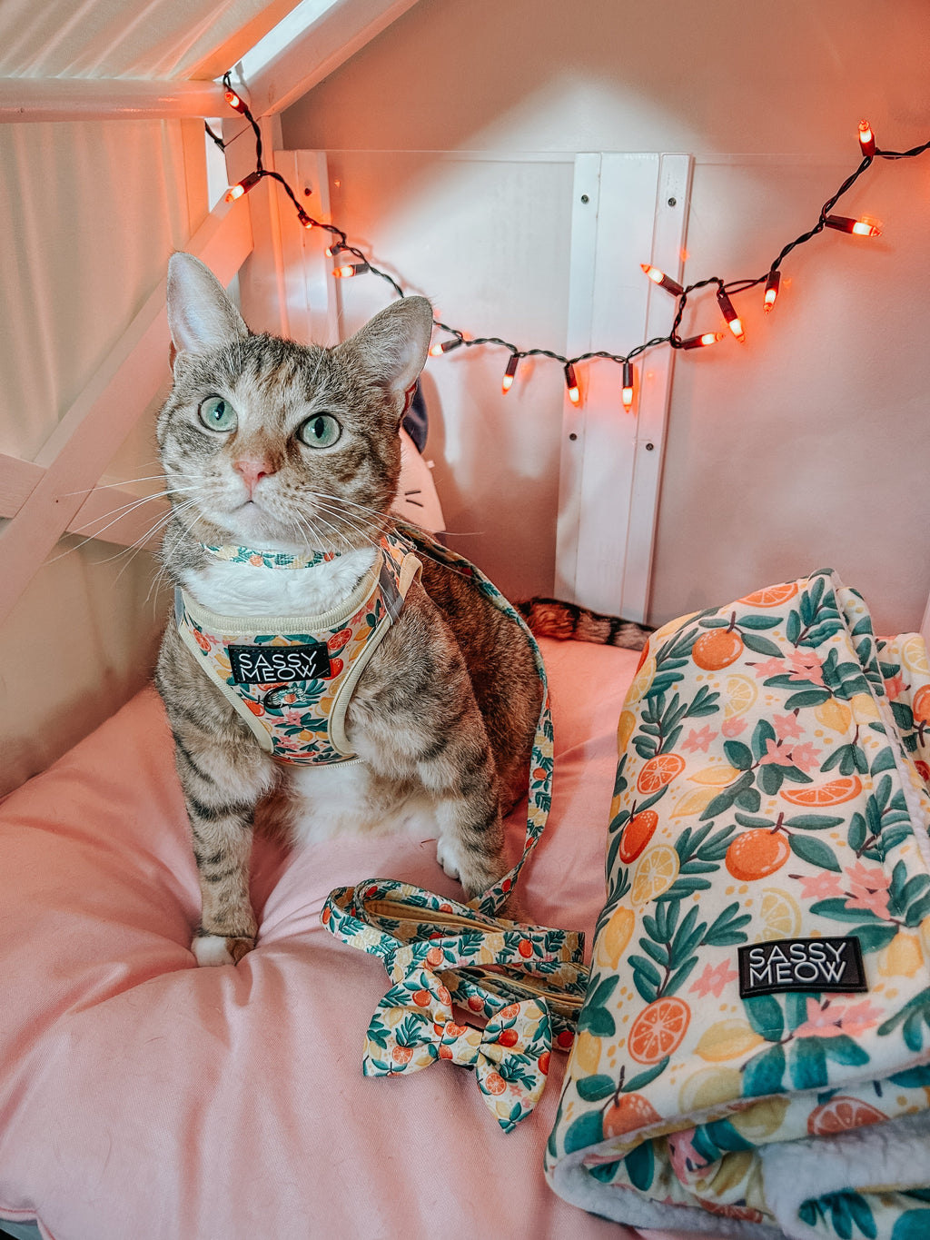 Cat Leash - Zest Friends