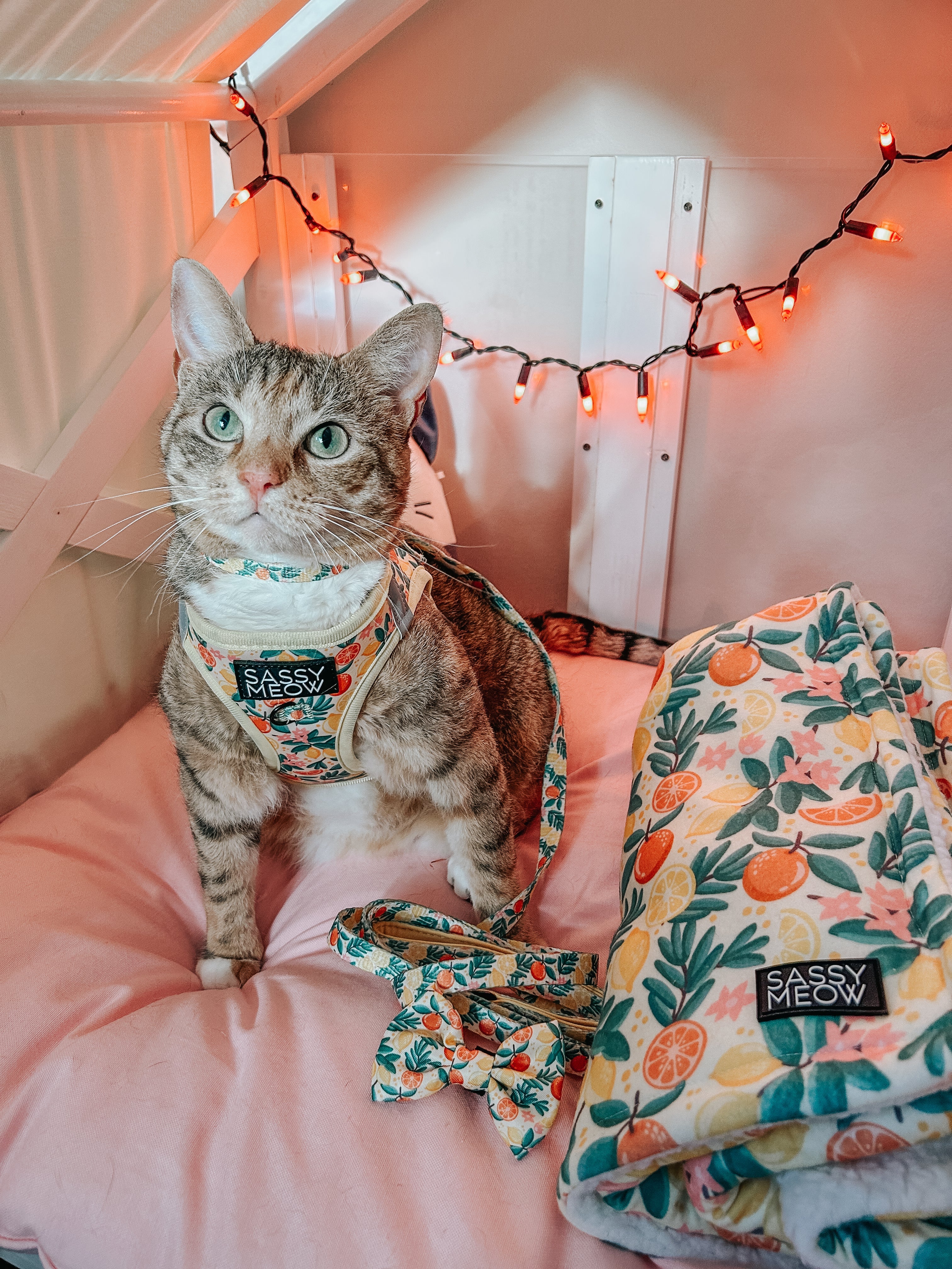 Cat Leash - Zest Friends