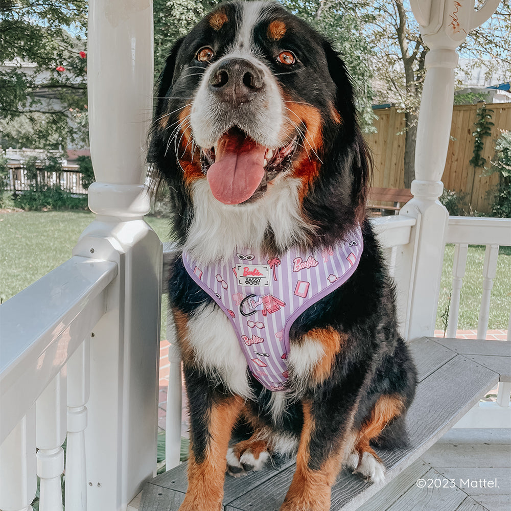 Dog Adjustable Harness - BARBIE™ Closet Goals