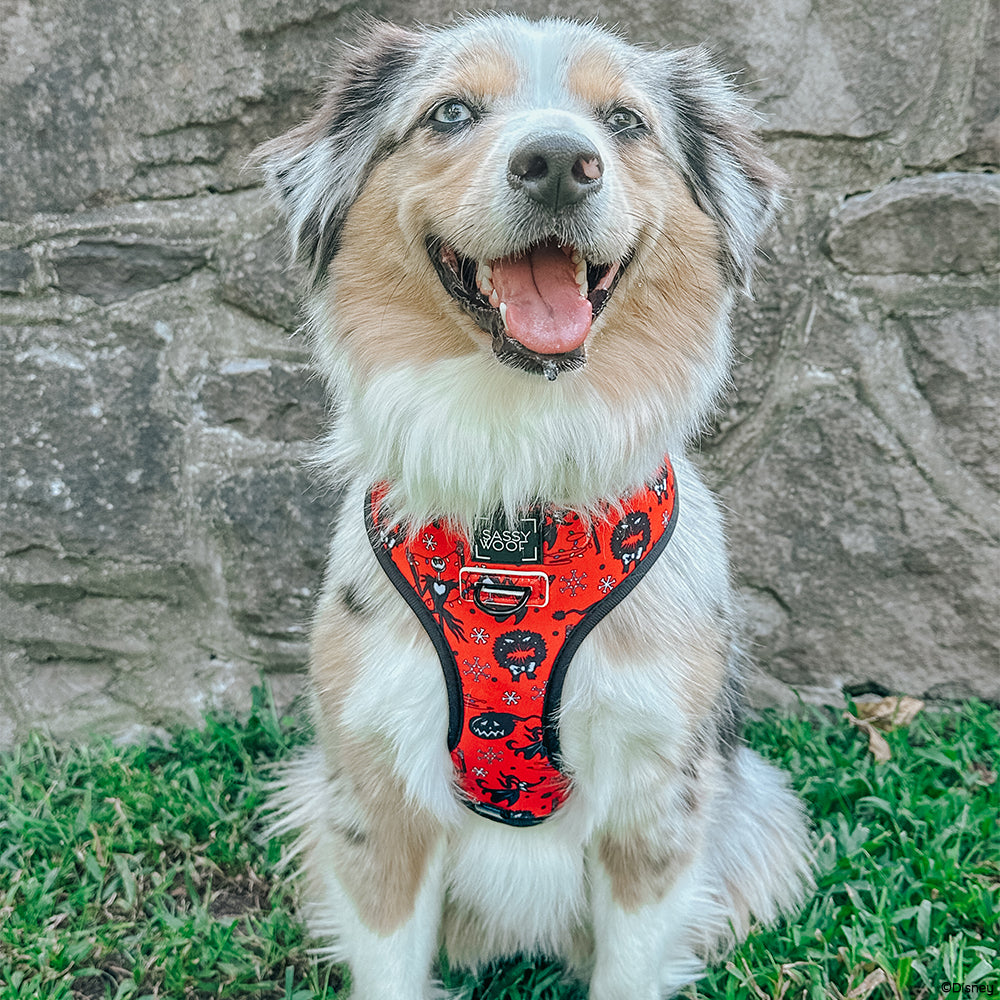 Reversible Harness - The Nightmare Before Christmas™