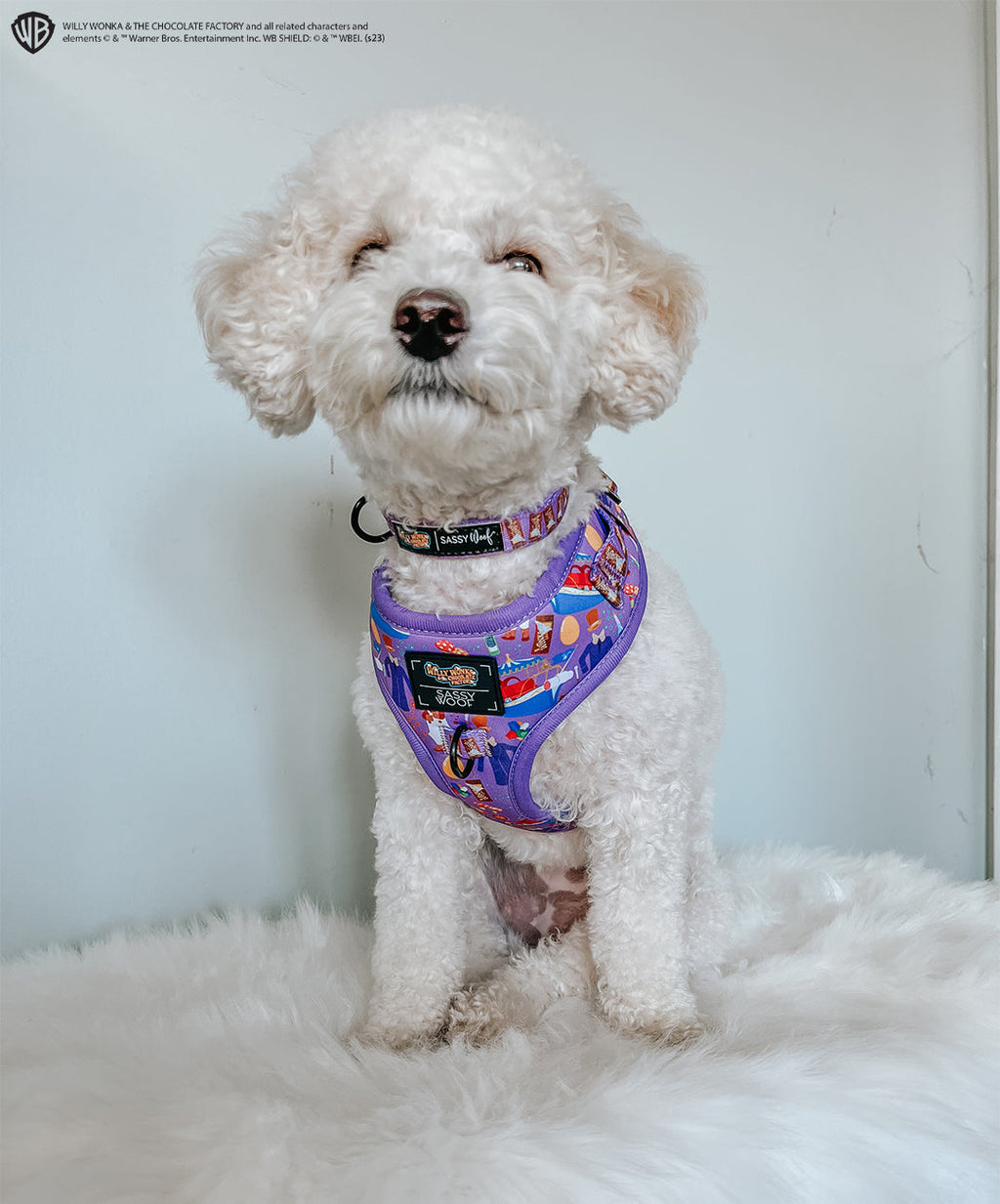 Dog Adjustable Harness - Willy Wonka & The Chocolate Factory™