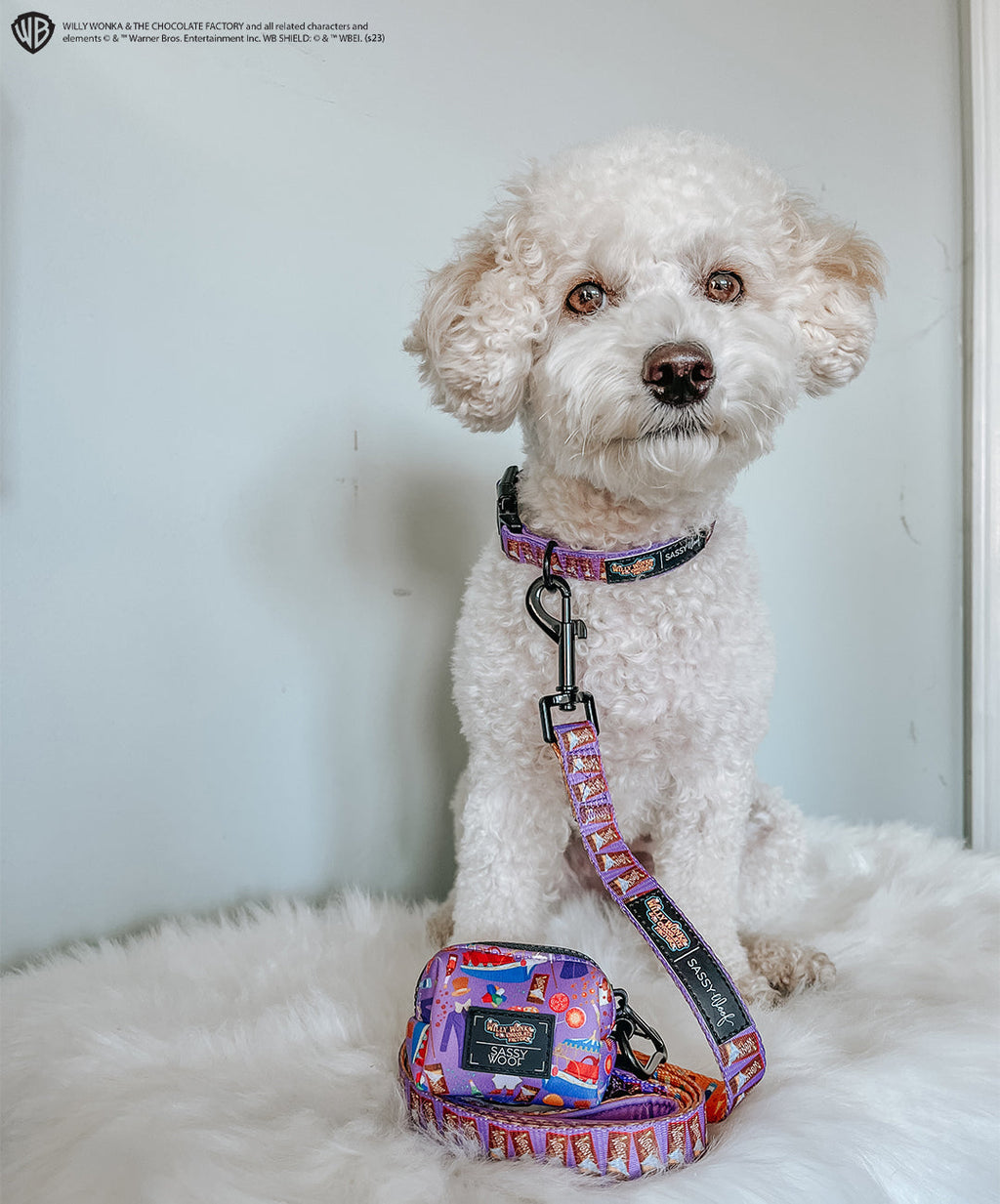 Dog Leash - Willy Wonka & The Chocolate Factory™