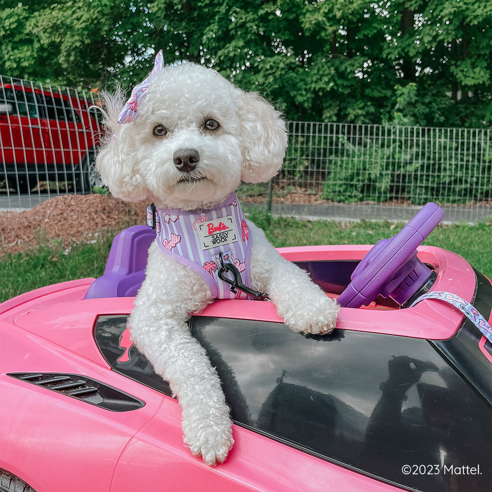 Dog Adjustable Harness - BARBIE™ Closet Goals