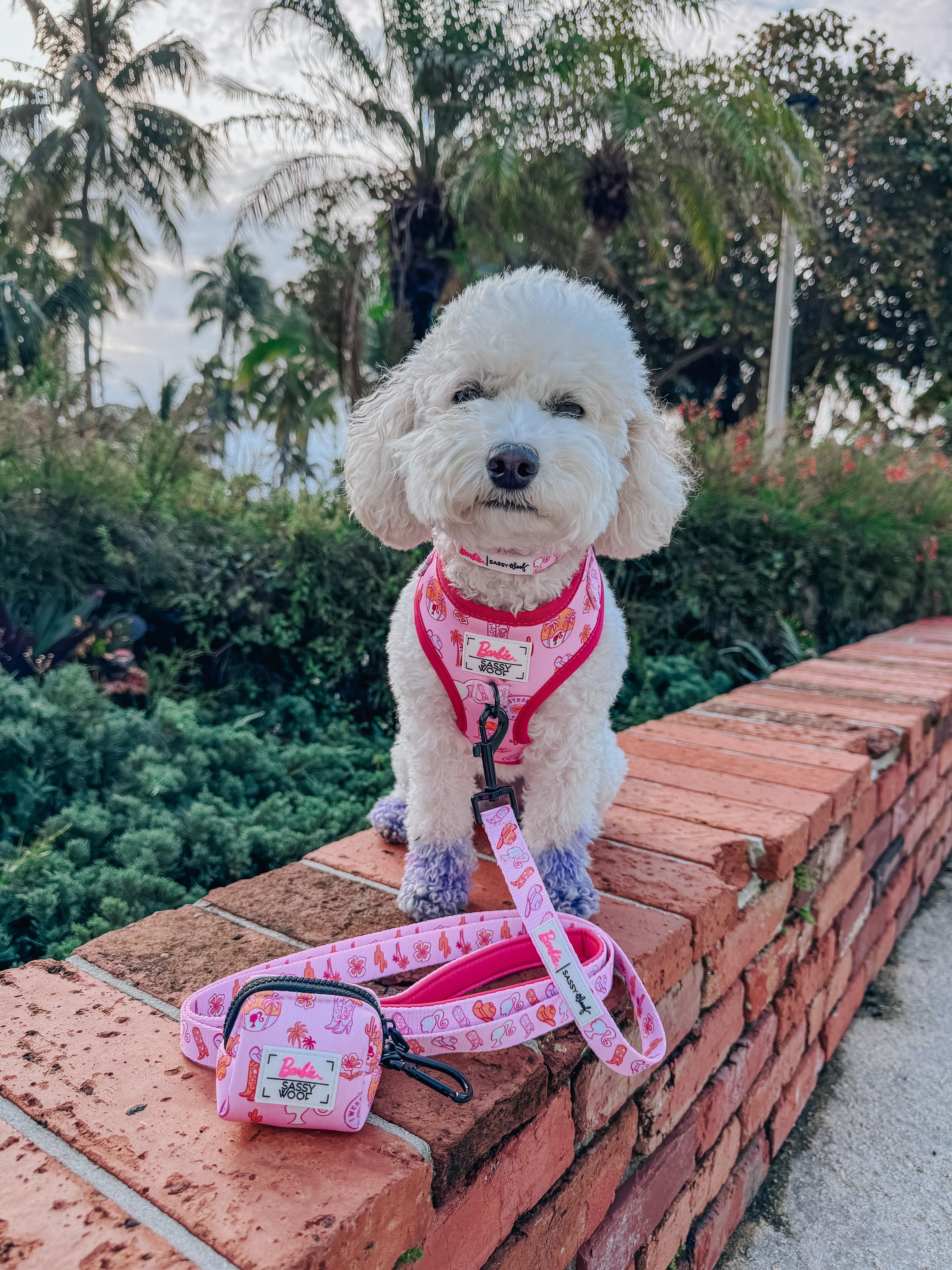 Dog Collar - Western Barbie™