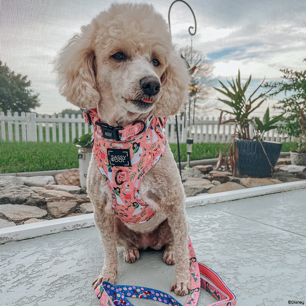 Dog Leash - Disney's Mulan