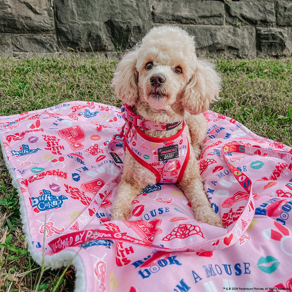 Dog Adjustable Harness - Mean Girls™