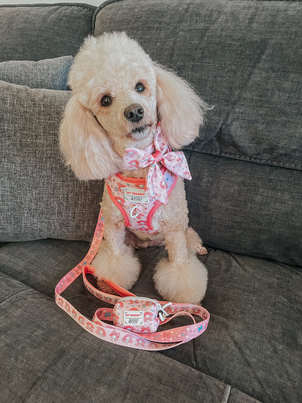 Collar Three Piece Bundle - My Melody™