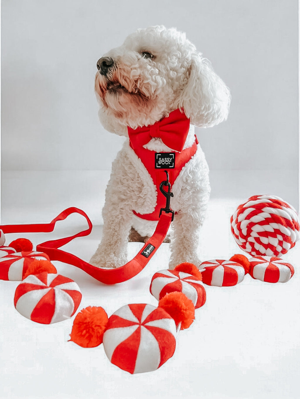 Dog Adjustable Harness - Naughty