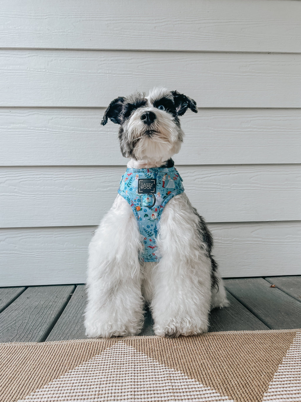 Dog Adjustable Harness - Disney's Cinderella