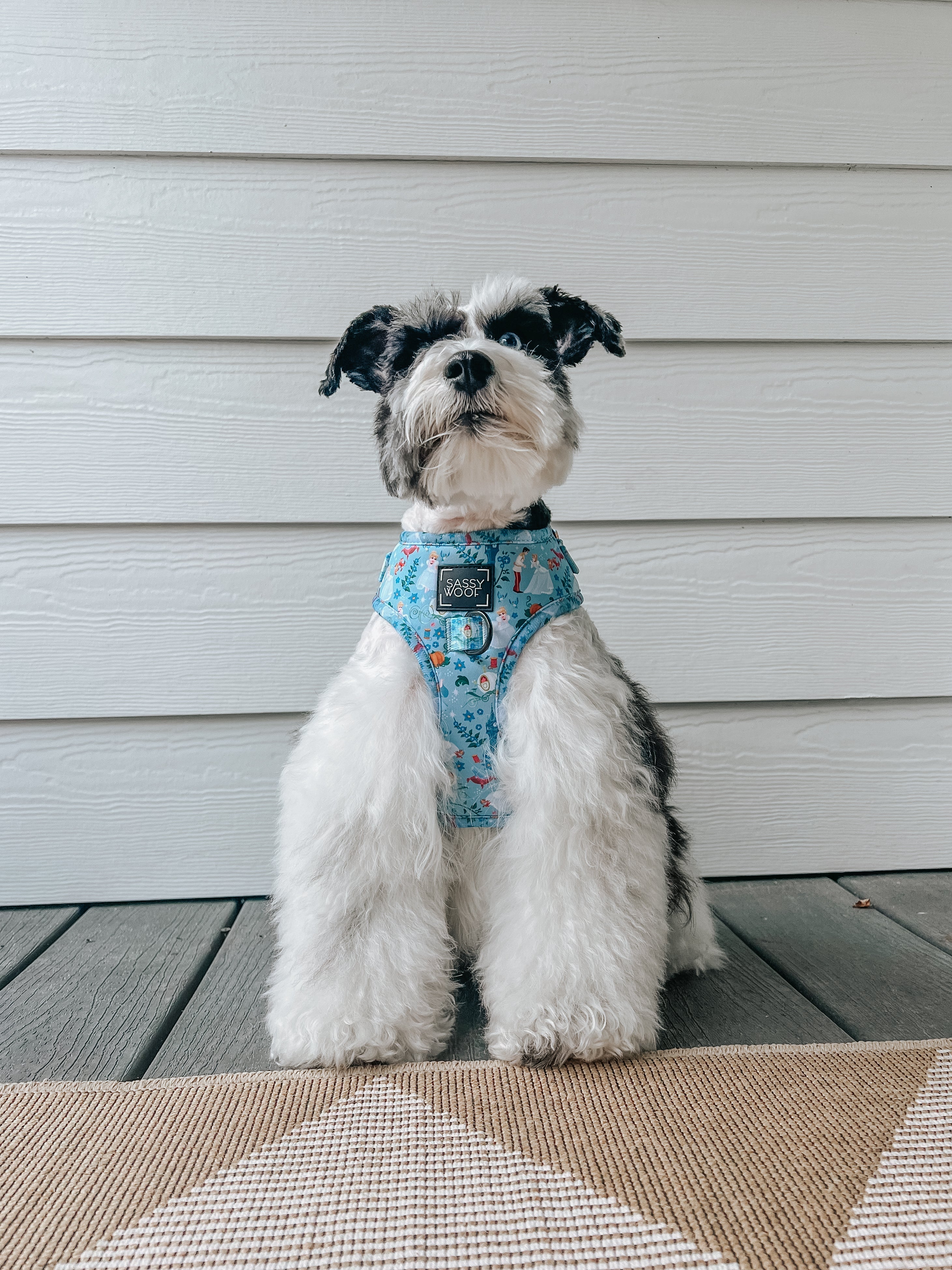 Dog Adjustable Harness - Disney's Cinderella