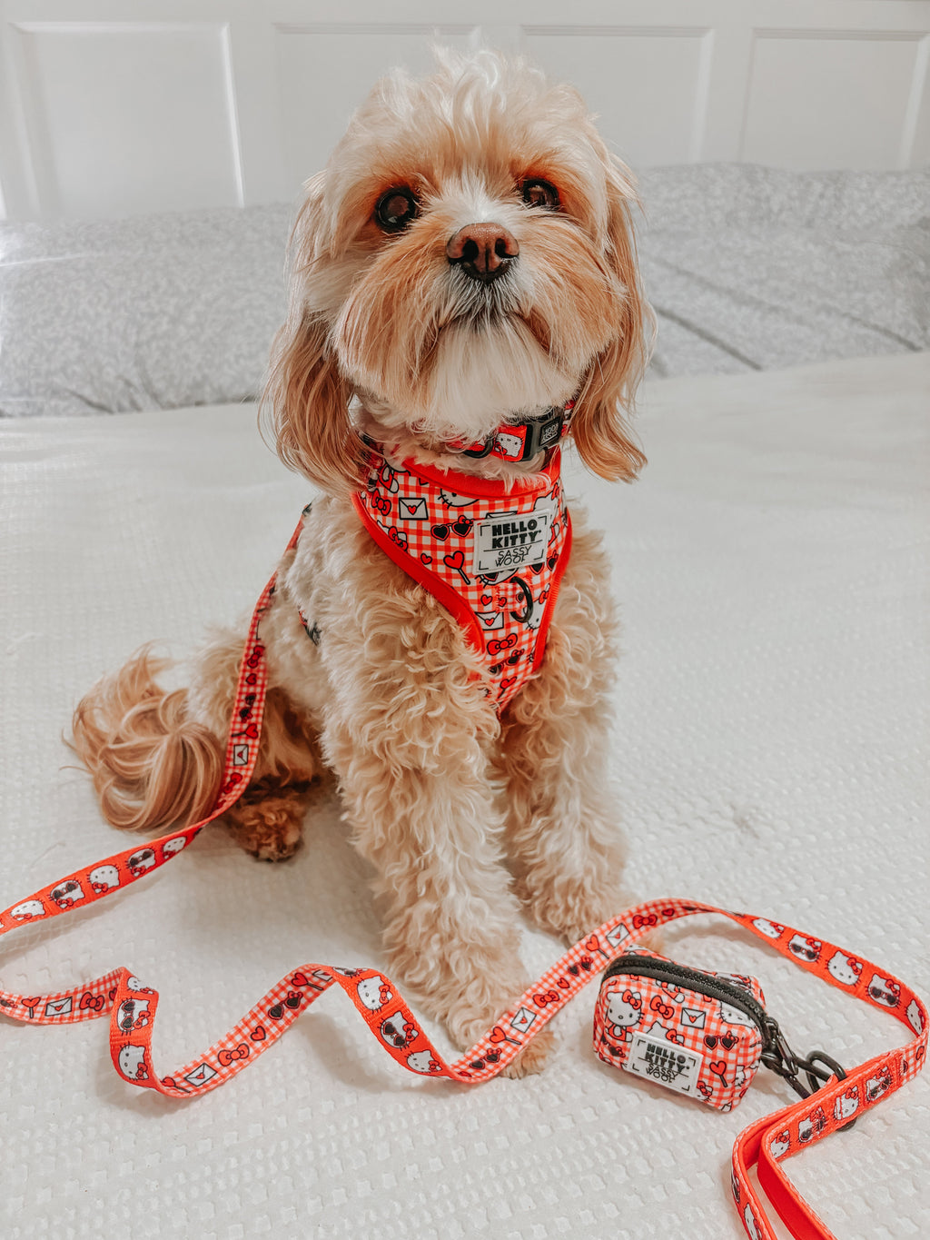 Dog Adjustable Harness - Hello Kitty® Red Classic