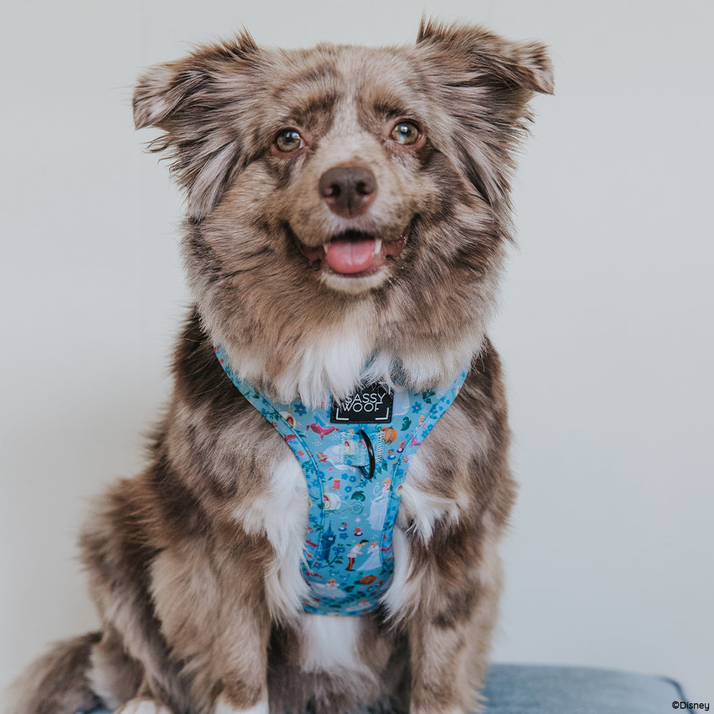 Dog Adjustable Harness - Disney's Cinderella