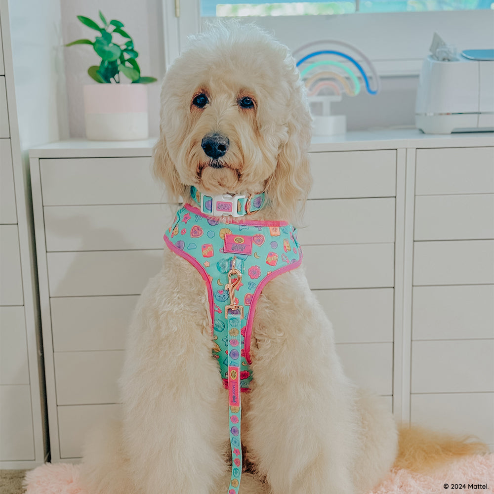 Dog Leash - Polly Pocket™