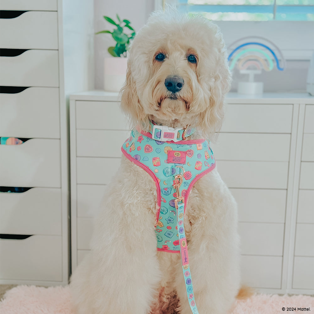 Dog Collar - Polly Pocket™