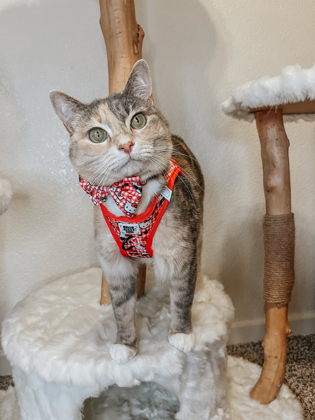 Cat Step-In Harness - Hello Kitty® Red Classic