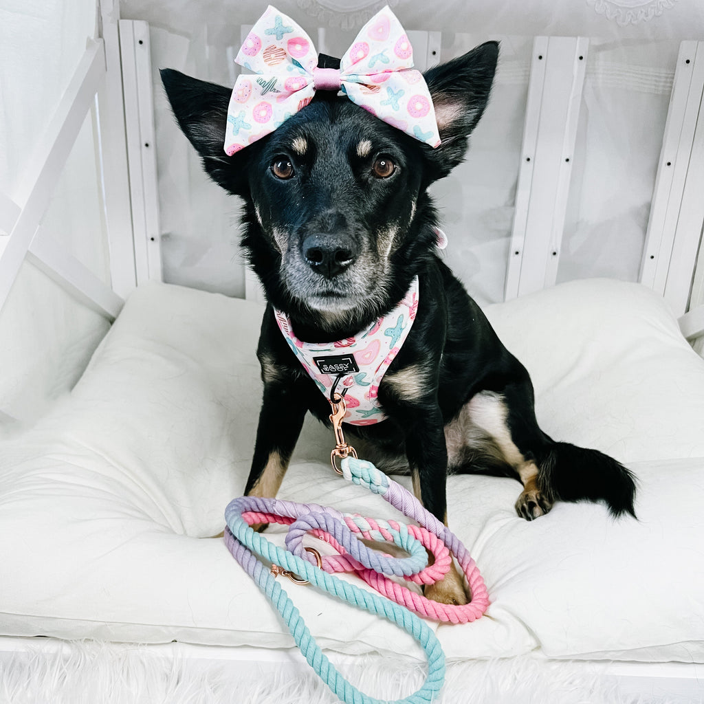 Dog Rope Leash - Lollipup