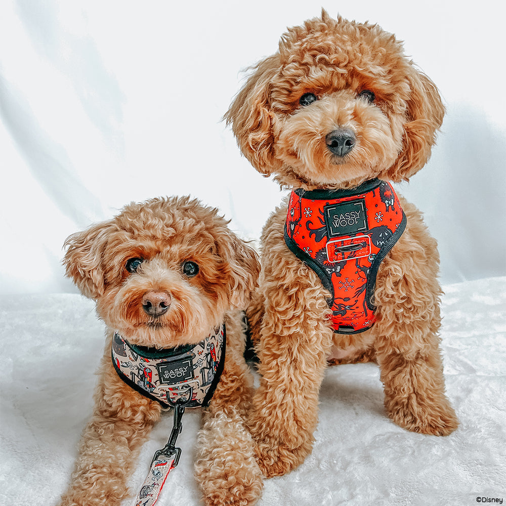Reversible Harness - The Nightmare Before Christmas™