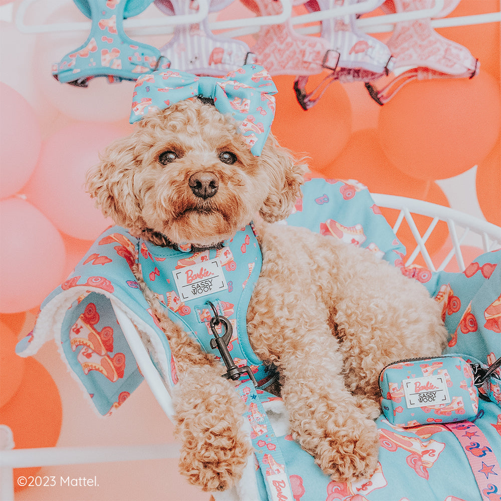 Dog Collar - BARBIE™ On a Roll