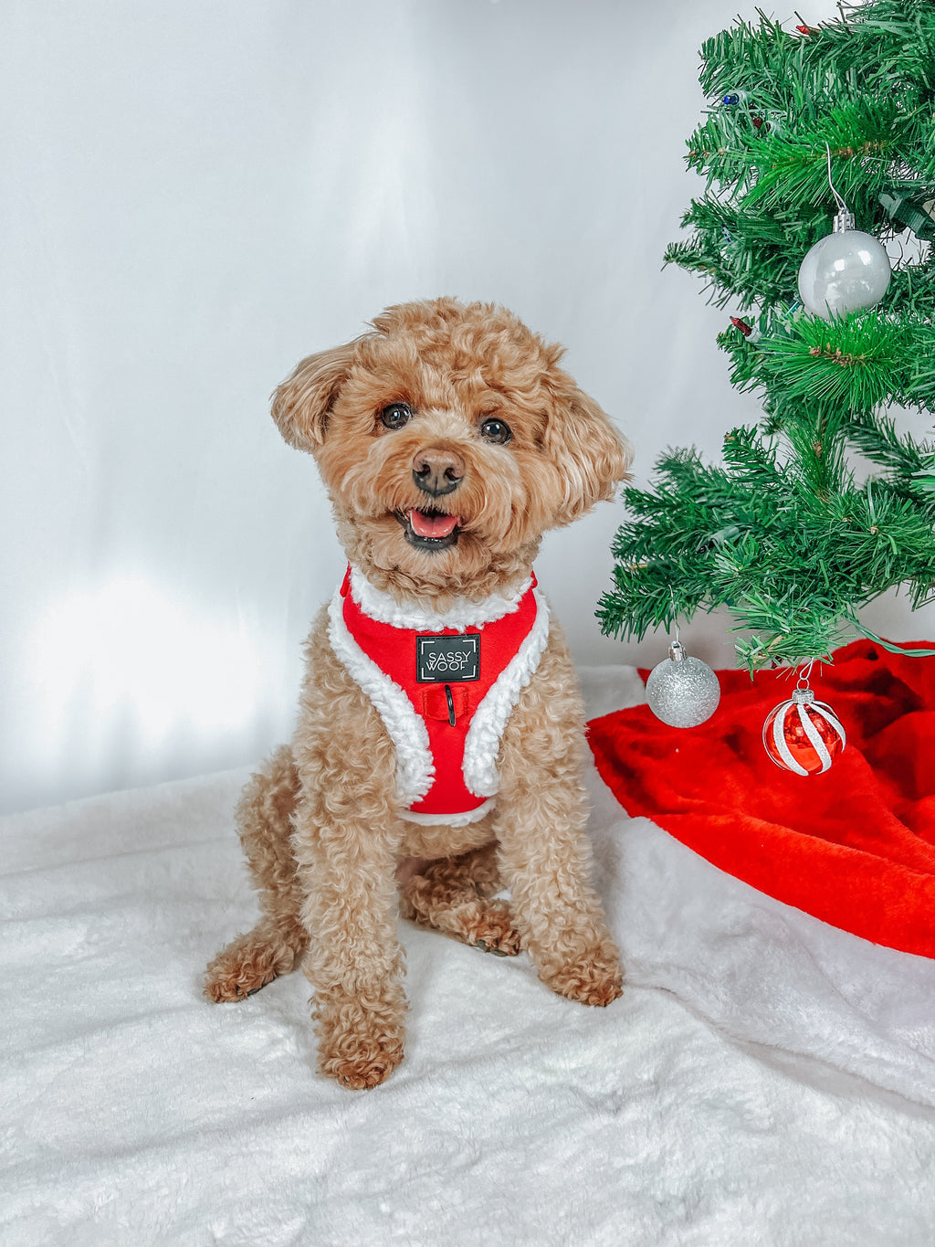 Dog Adjustable Harness - Naughty