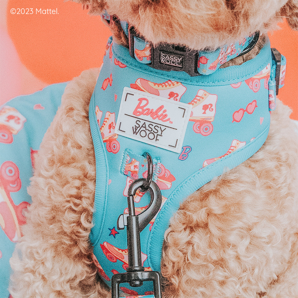 Dog Collar - BARBIE™ On a Roll