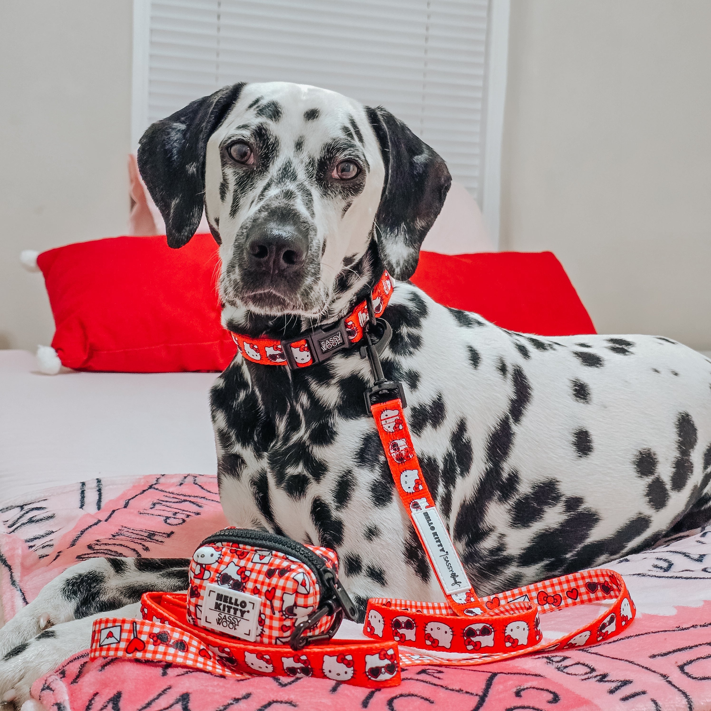 Dog Collar - Hello Kitty® Red Classic