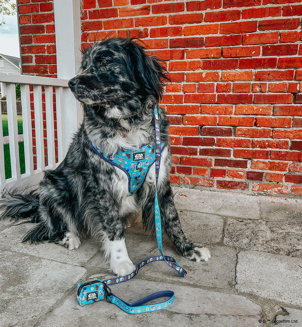 Dog Adjustable Harness - STAR WARS™ The Mandalorian™