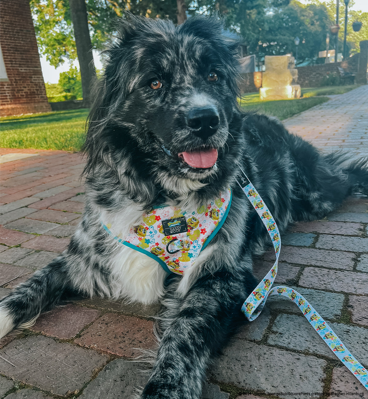 Dog Leash - SpongeBob SquarePants™ Bikini Bottom