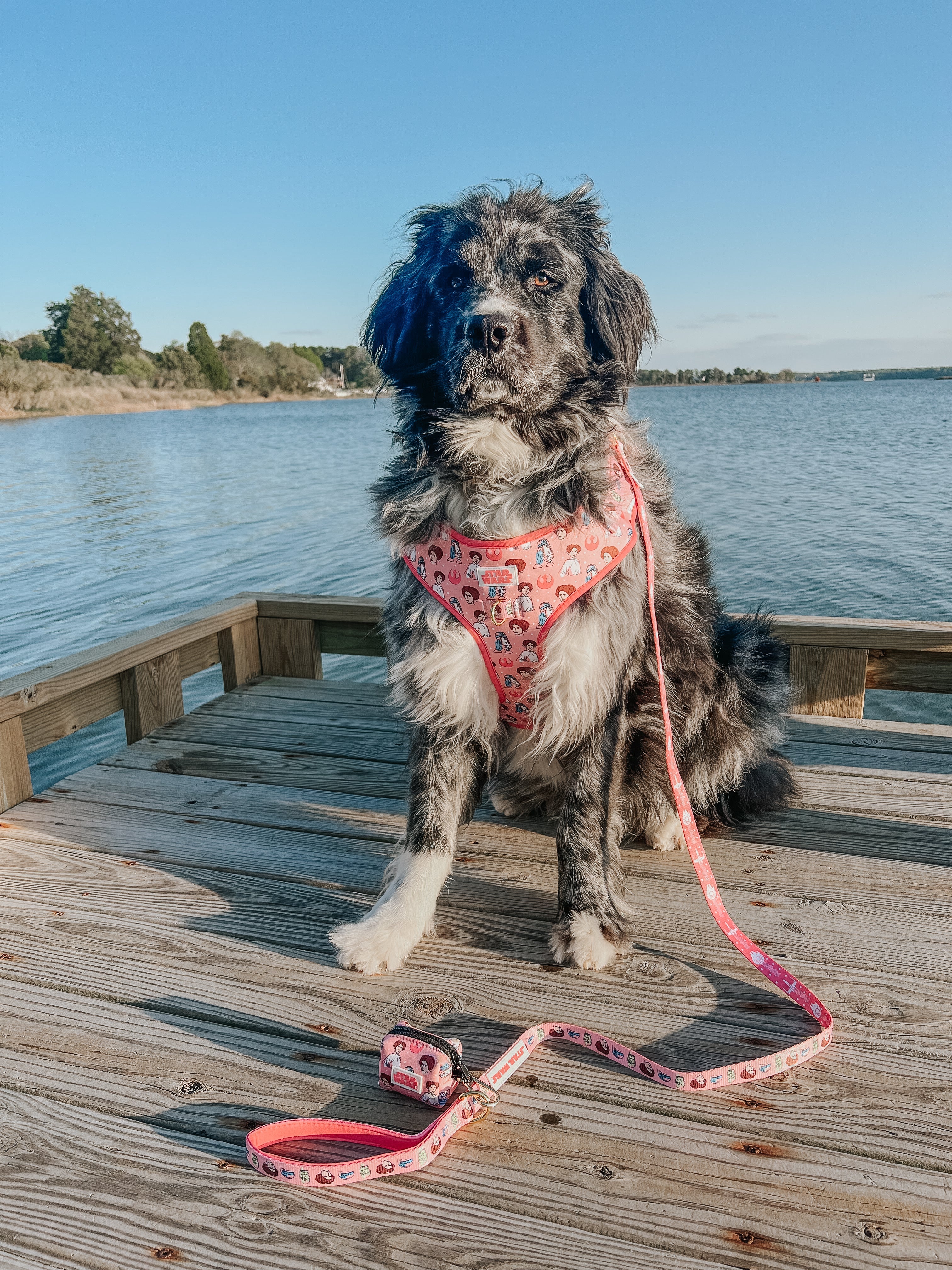 Dog Adjustable Harness - STAR WARS™ Princess Leia