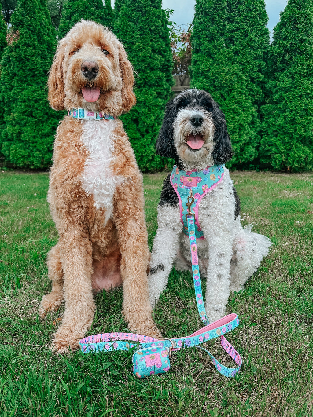 Dog Collar - Polly Pocket™