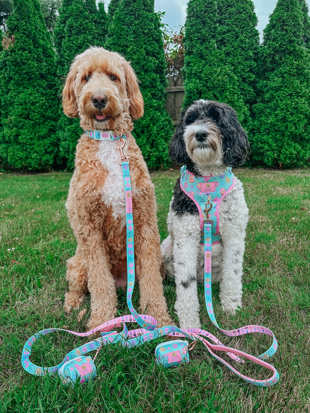 Dog Leash - Polly Pocket™