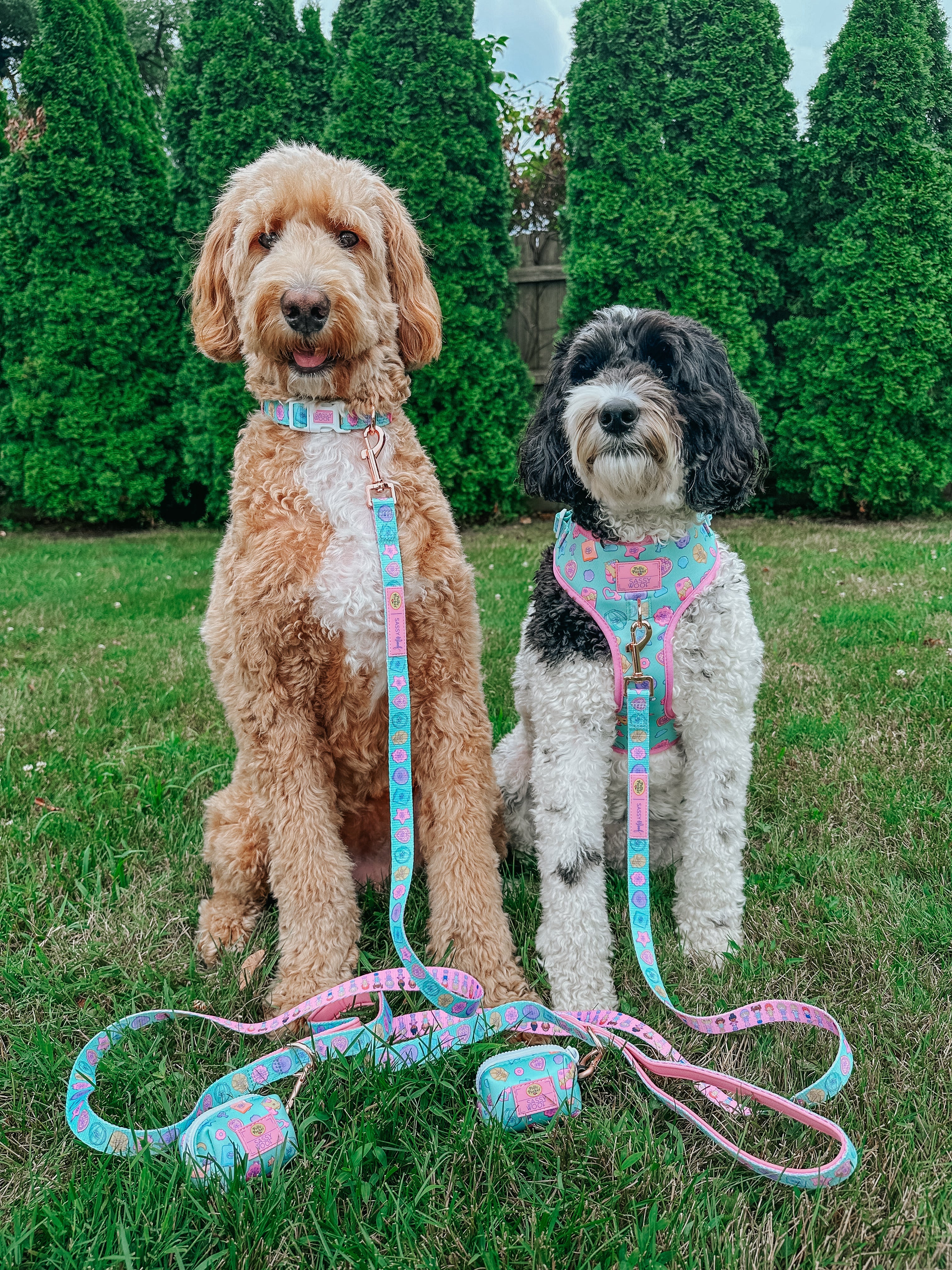 Dog Leash - Polly Pocket™