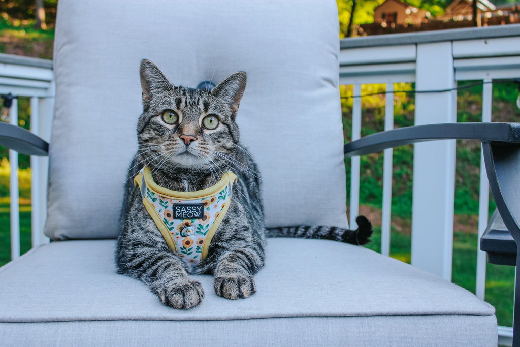 Cat Step-In Harness - Sunflower Dreams