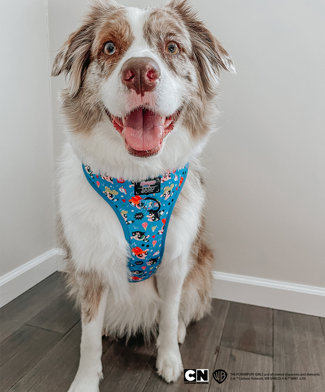 Dog Adjustable Harness - The Powerpuff Girls™ (Blue)