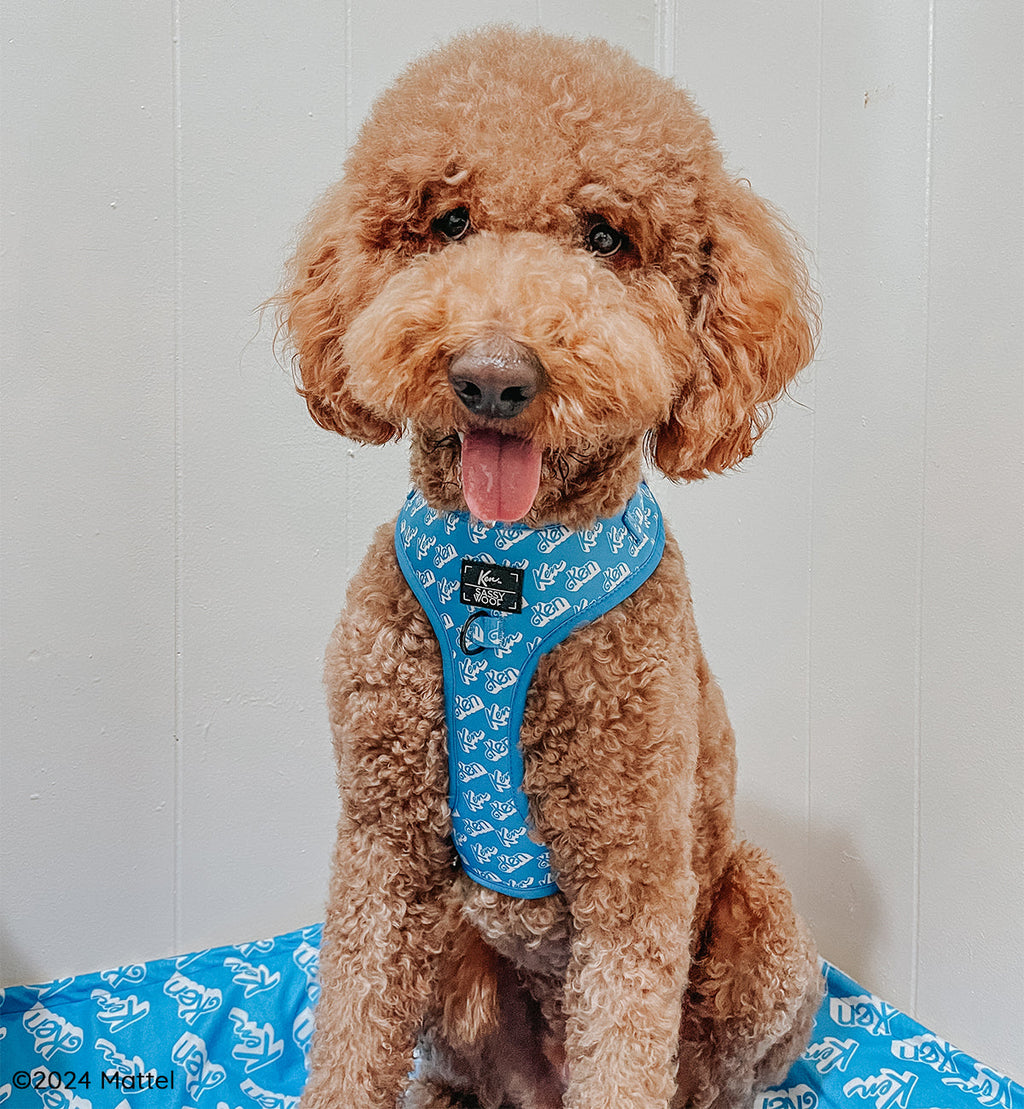 Dog Adjustable Harness - KEN™
