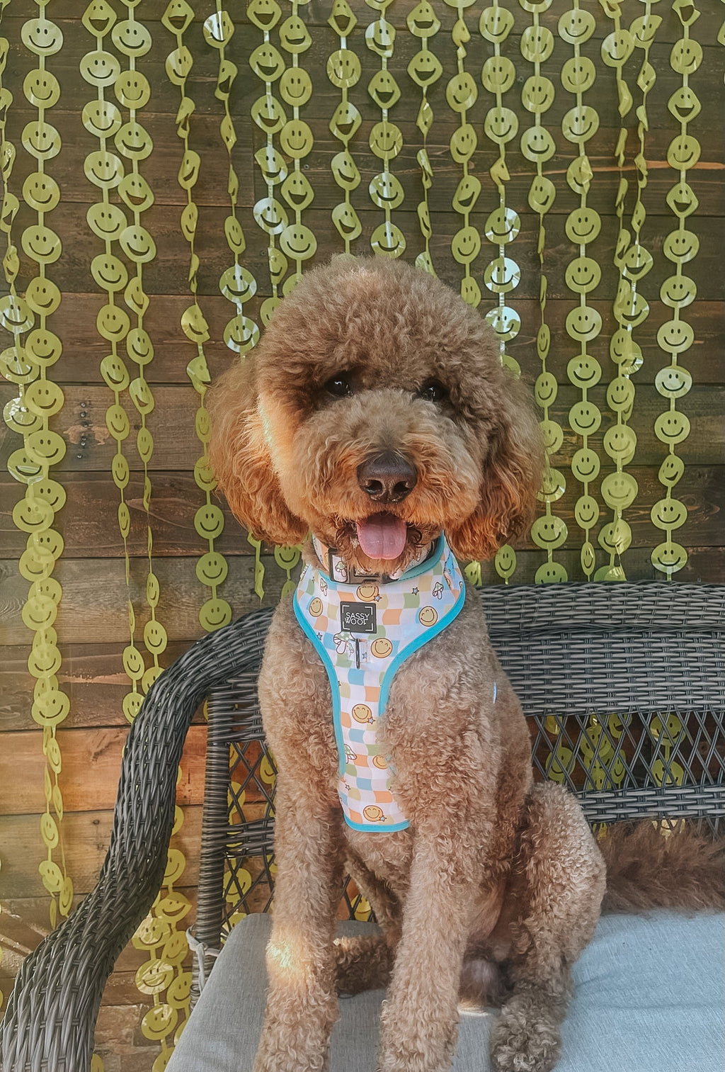 Dog Adjustable Harness - Mush Love